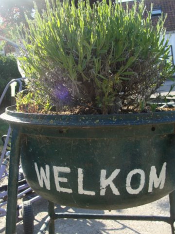 Hof ten Hulle